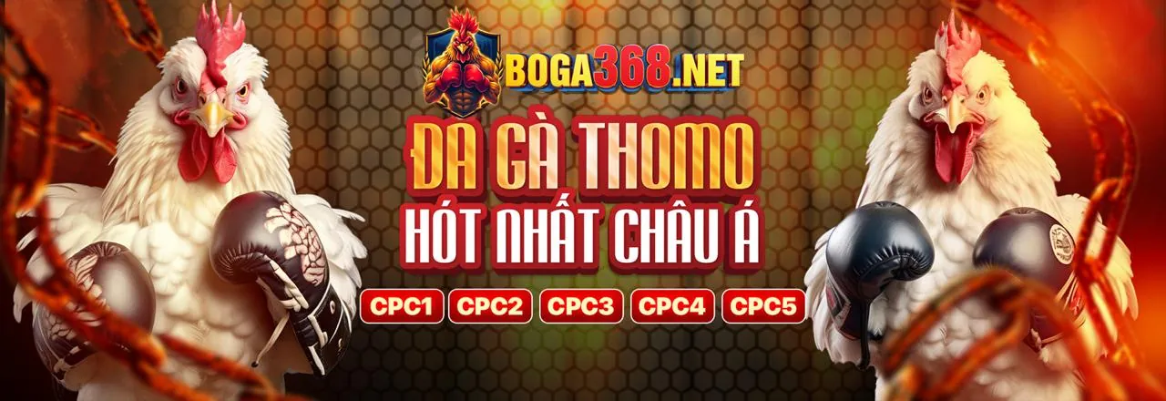 Hình ảnh giới thiệu 678win APK