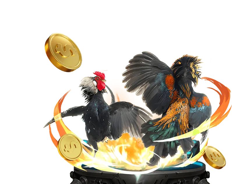 Cá cược bóng rổ 678win
